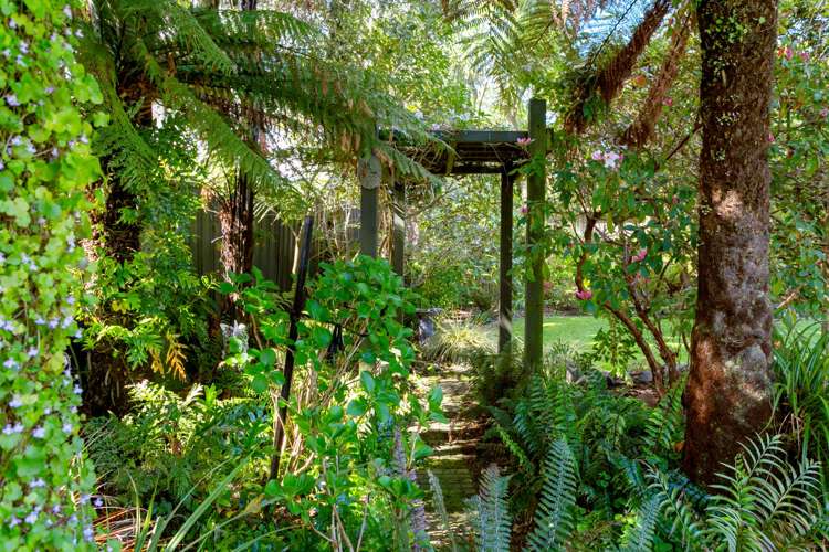 57 Elizabeth Street Tauhara_7