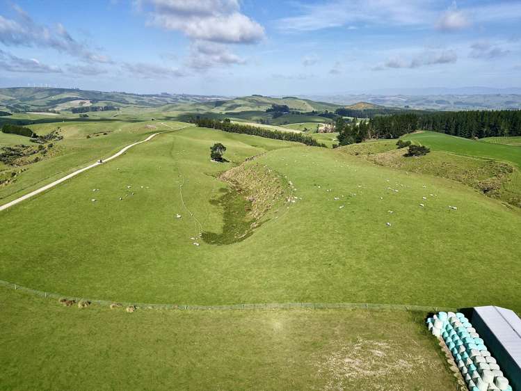 759 Waitahuna Gully Road Manuka Creek_24