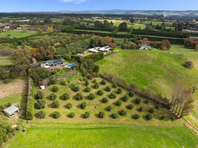 151c Hereford Road Oropi_1