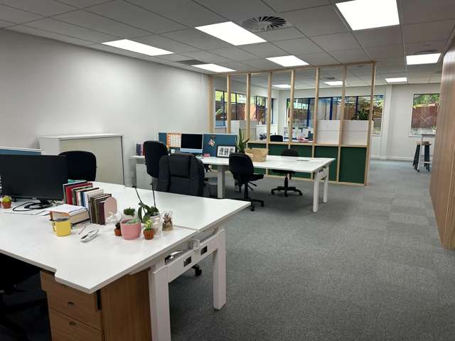 21 Clifton Road Hamilton Central_3