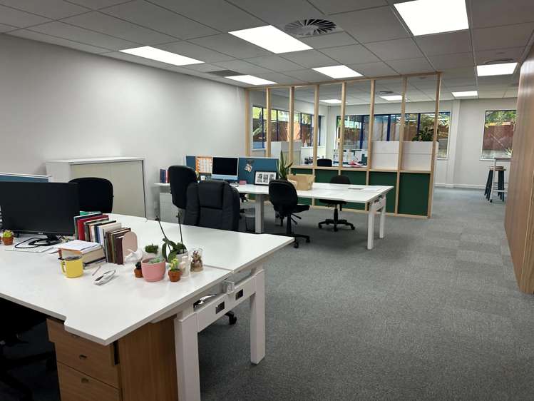 21 Clifton Road Hamilton Central_3