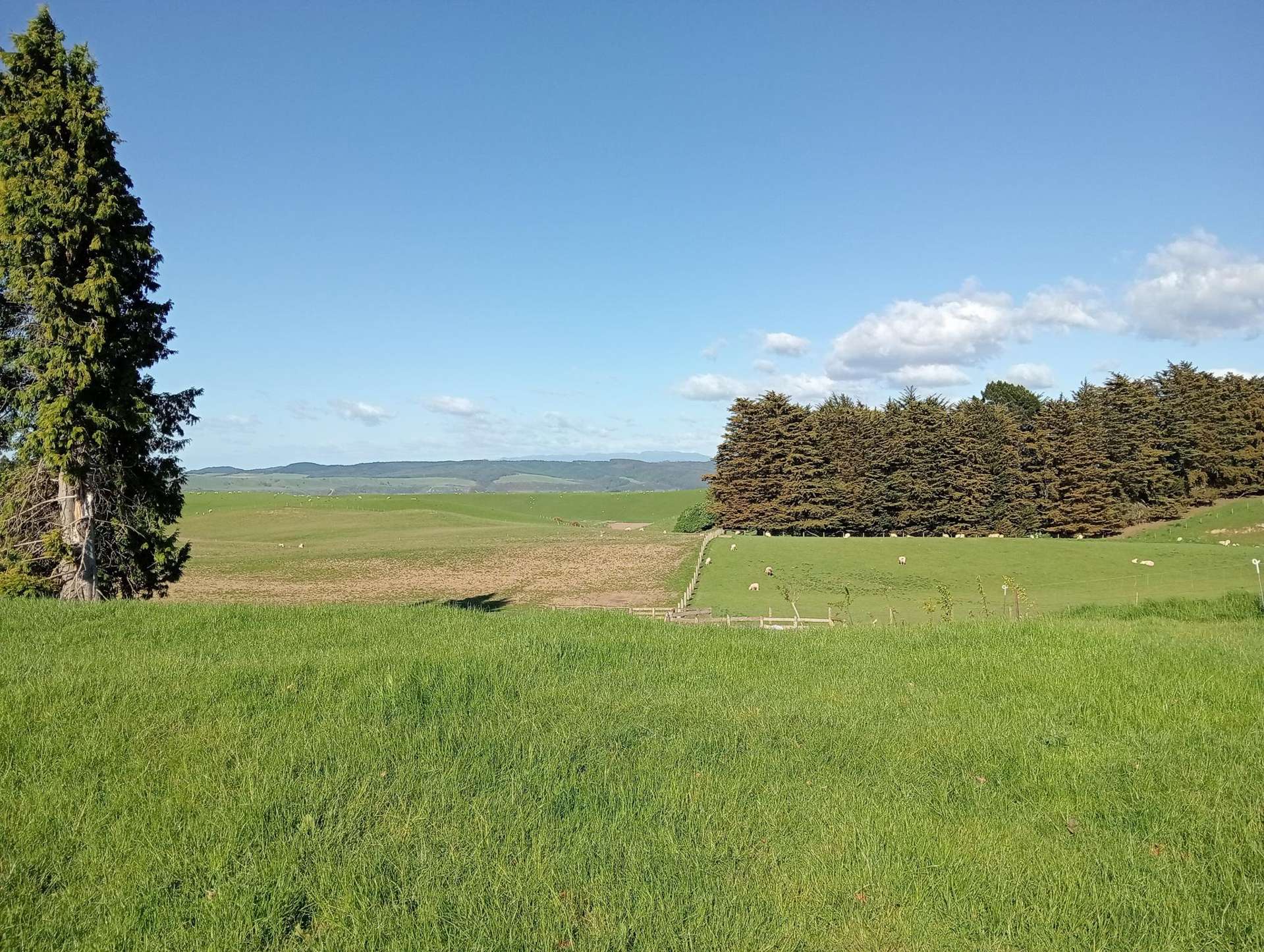 55 Otahu-Eastern Bush Road Eastern Bush_0