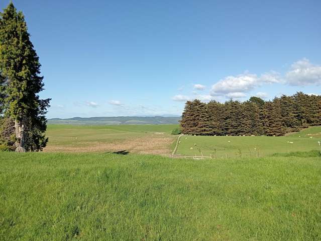 55 Otahu-Eastern Bush Road Eastern Bush_3