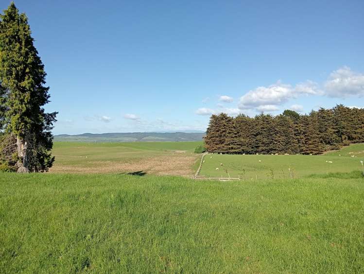 55 Otahu-Eastern Bush Road_3