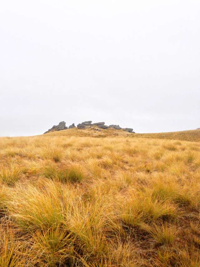 1109 Little Valley Road Alexandra_2