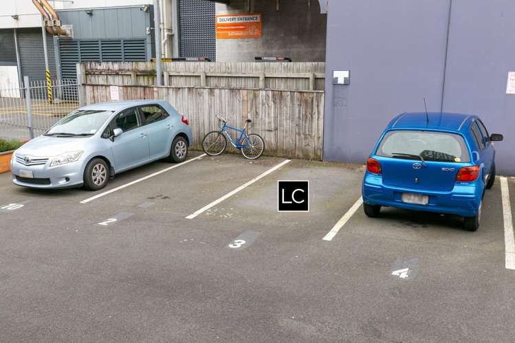 3/14 Alpha Street Te Aro_13