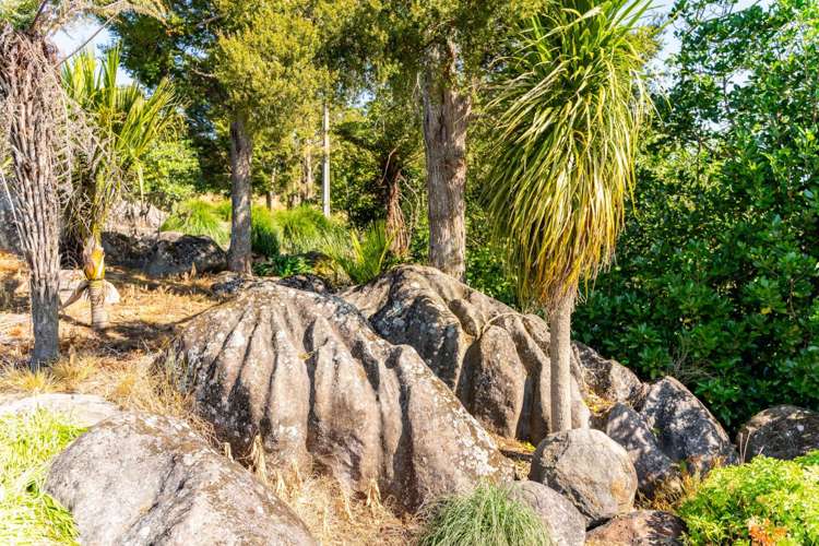 176 Hodge Road Ruatangata_17