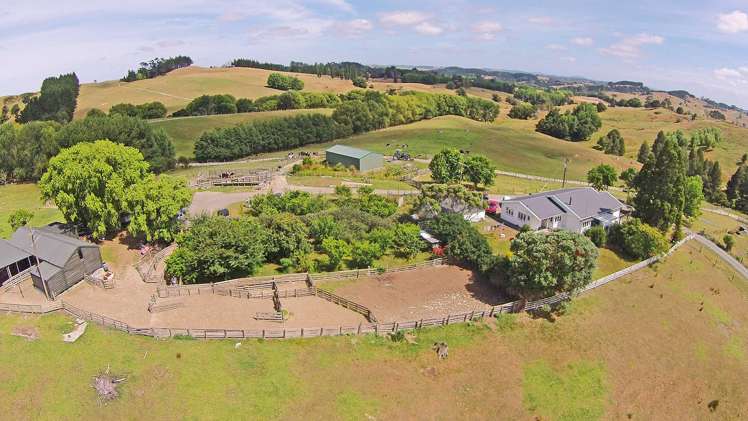 119 Worker Road Wellsford_2