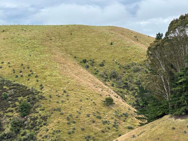 Cameron Road Tapanui_4