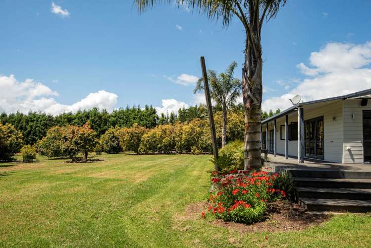 27 Watrous Downs Maungatapere_9