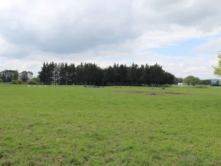 568 Ruawhata Road Pahiatua_15