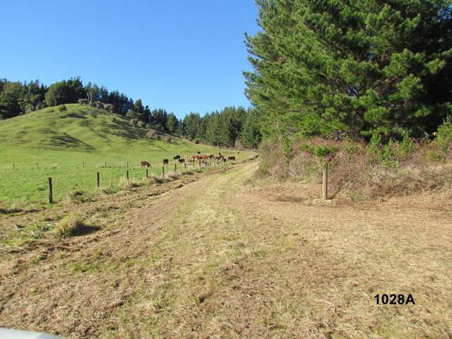 1028 A,B,C McIvor Road Rotoma_4