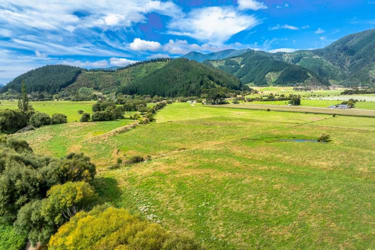 State Highway 1 Koromiko_18