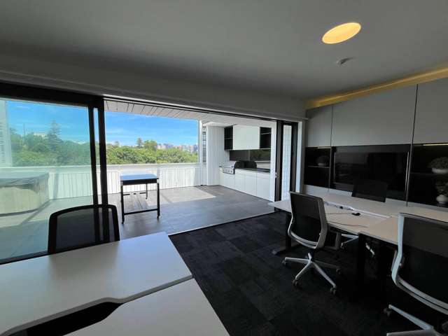 23 Falcon Street Parnell_3