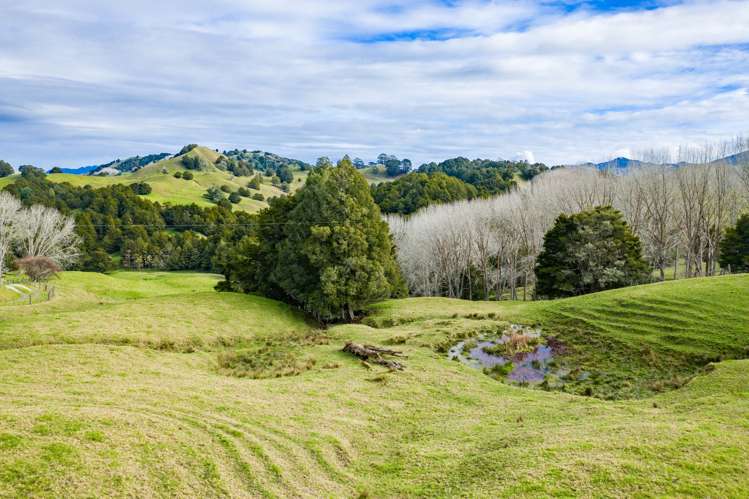 1891 Pipiwai Road Ruatangata_6