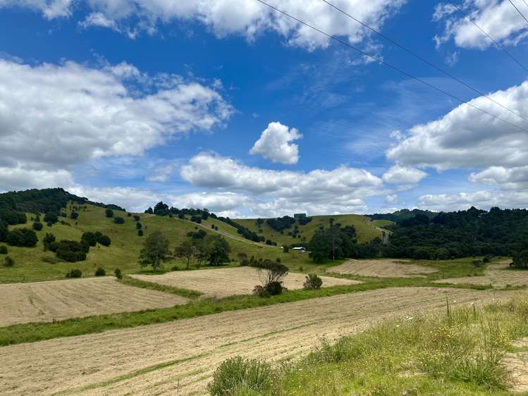 Lot 3 Waiotoi Road_5