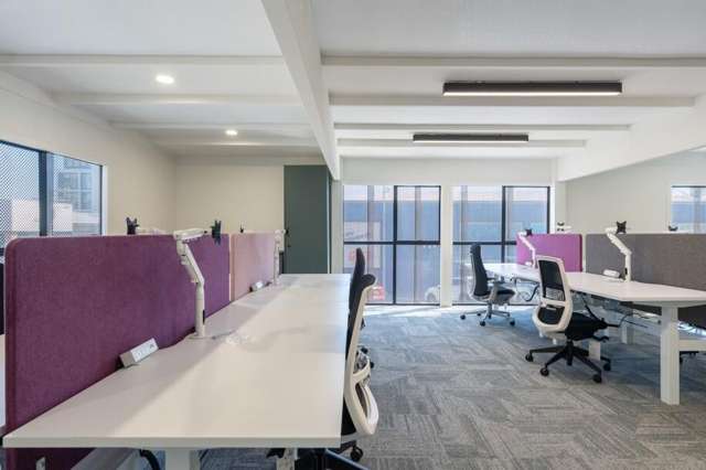 7 Rose Road Grey Lynn_4