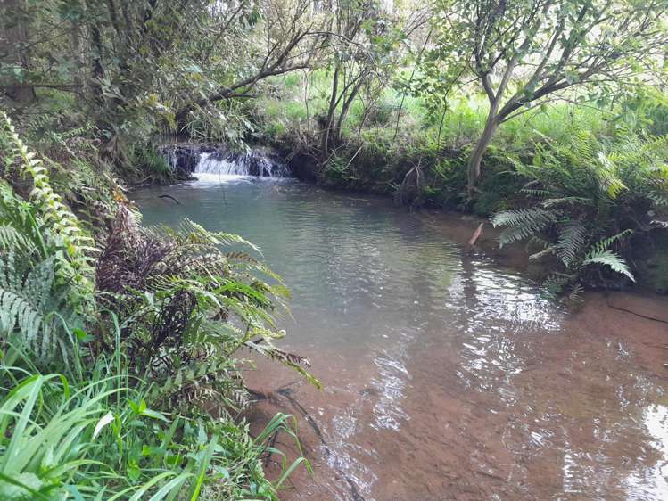 65 Proud Road Dargaville Surrounds_21