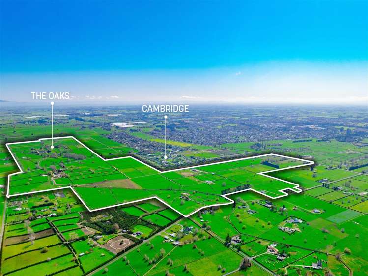 122 Rotoorangi Road Cambridge_40