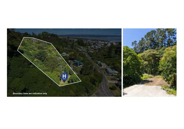 406 Karaka Road Thames_1