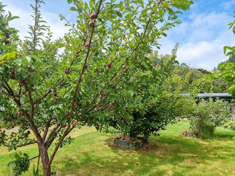 46 Waihuka Road Omapere_10