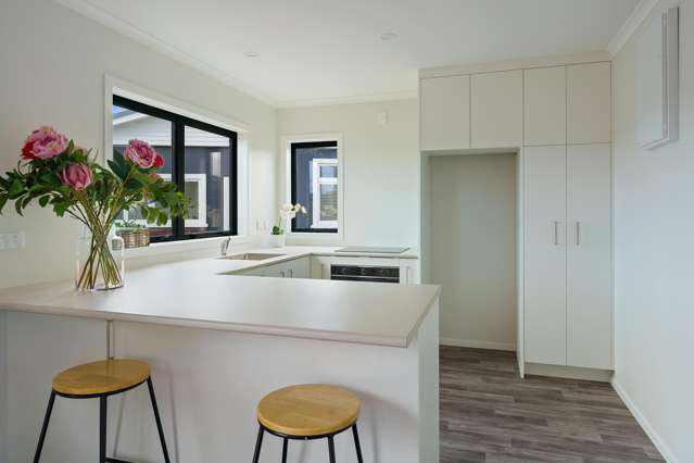 56 Dunstan Street Otaki_1