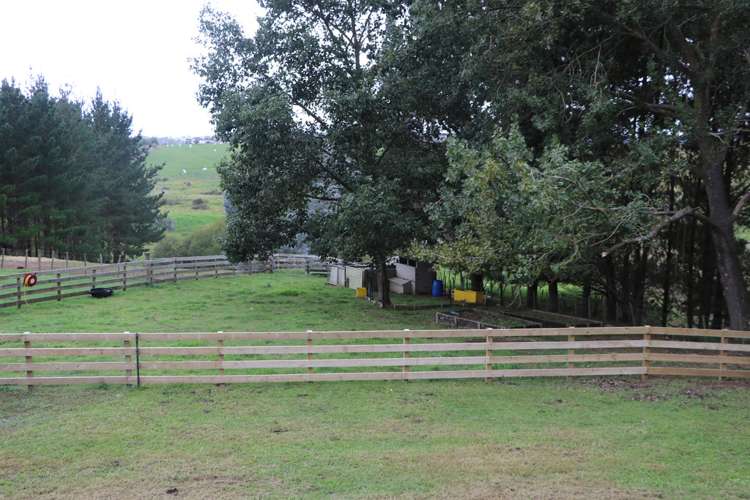 87 Bell Road Whatawhata_15