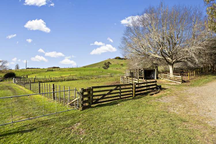 271 Clevedon-Kawakawa Road Clevedon_19