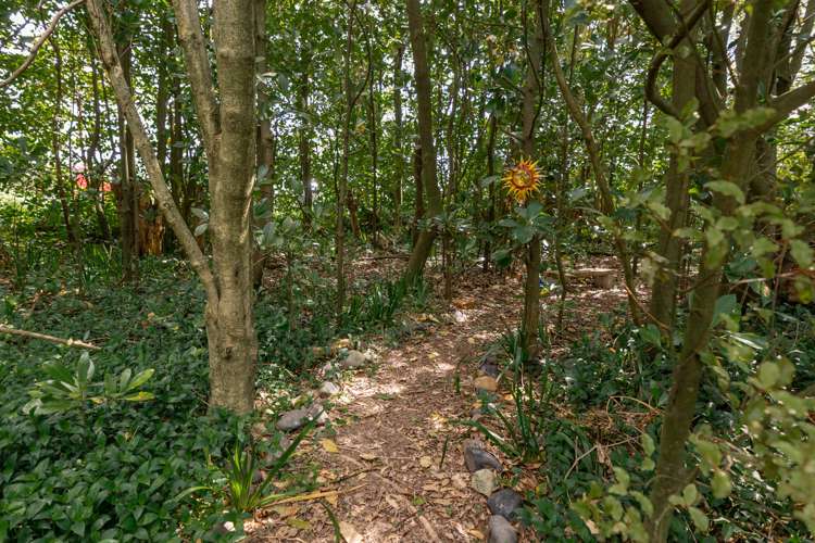 305 Karere Road Tiakitahuna_18