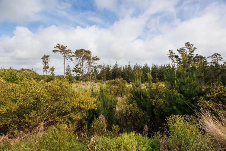 545 Himatangi Beach Road Himatangi Beach_17