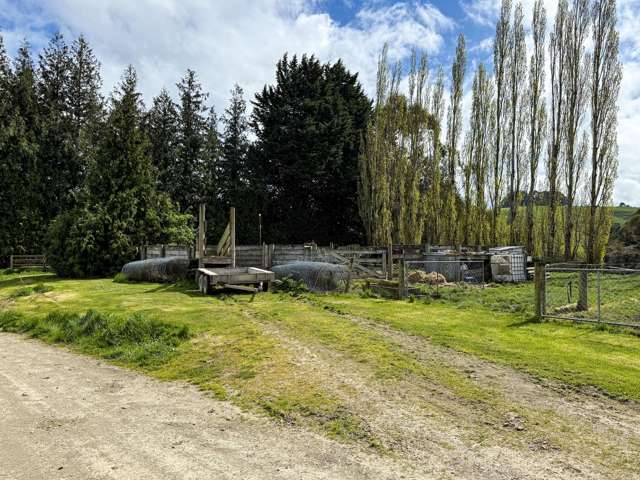 307 Okapua Road Chatton North_3