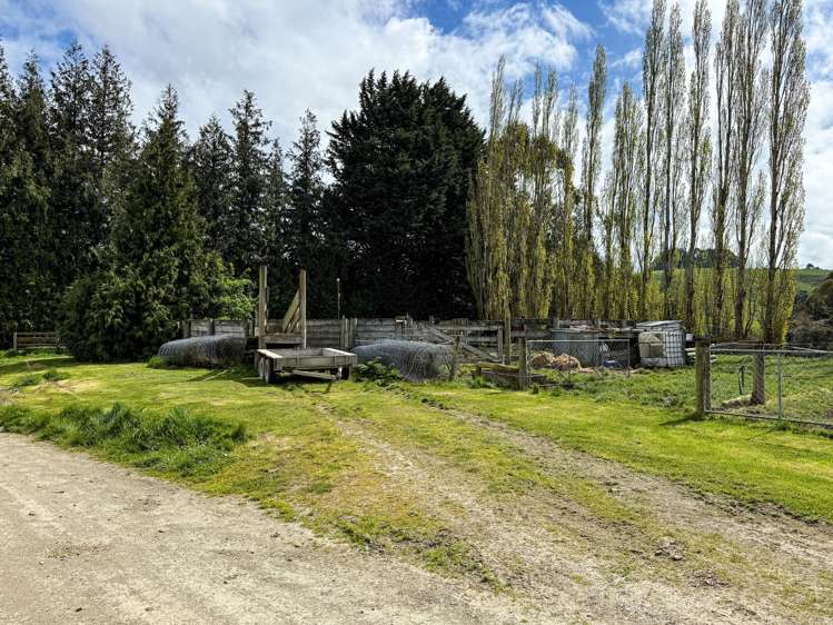 307 Okapua Road Chatton North_3