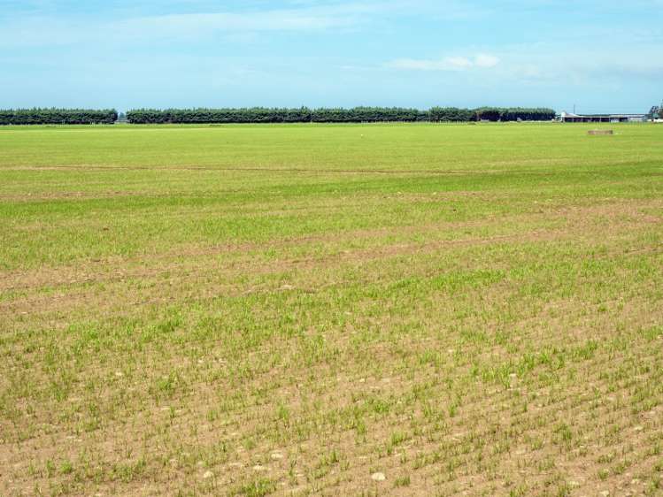 2264 Thompsons Track Lauriston_12