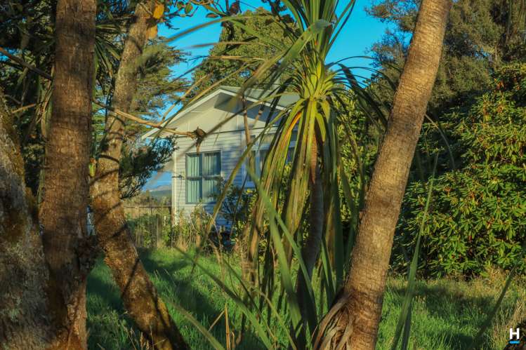 829 Nelson Creek Road Hochstetter_19