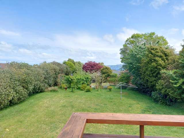 27 Puriri Street 11201_2