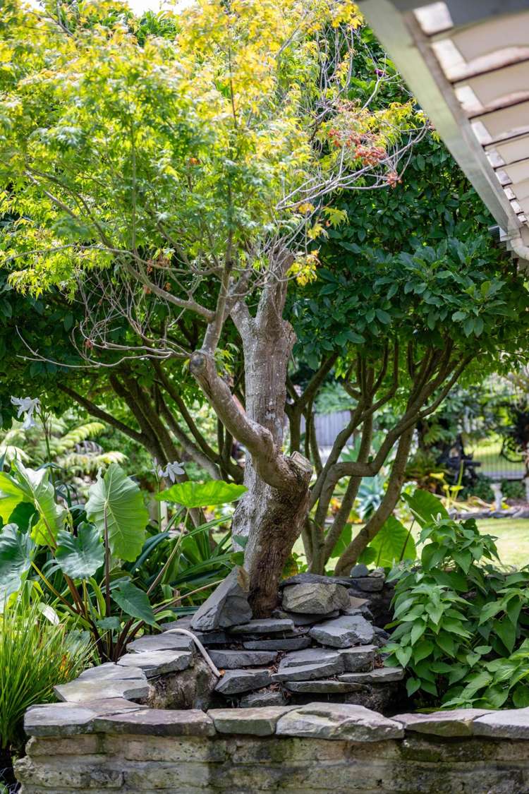 61 Te Aroha Street Hamilton East_52