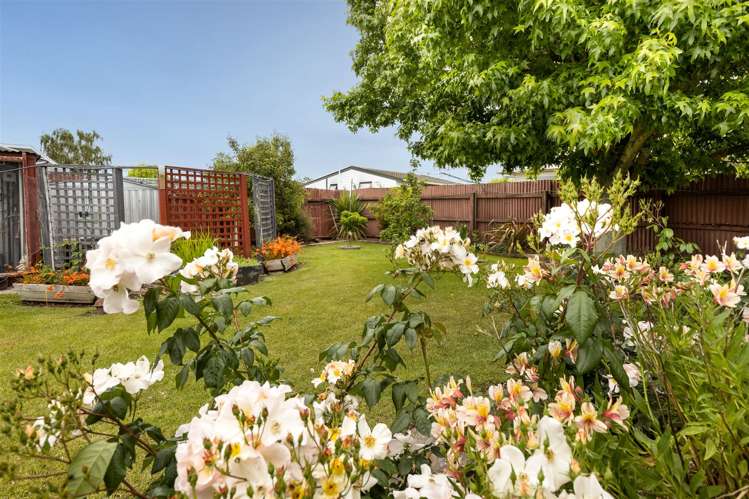 196 Maxwell Road Redwoodtown_16