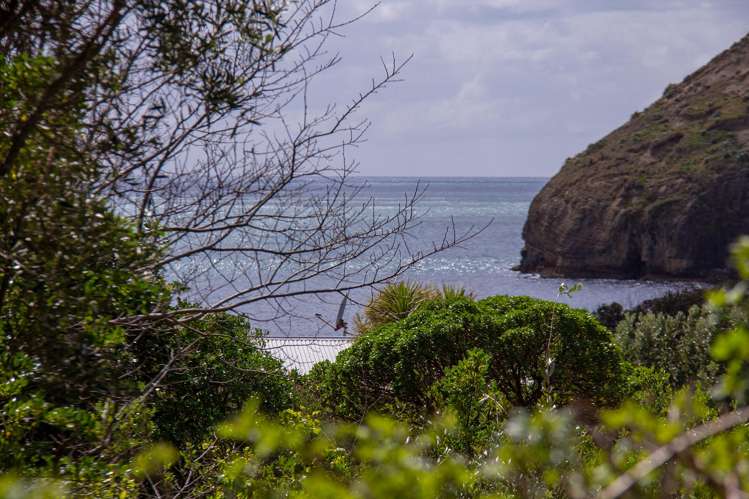 11 Guthrie Crescent Castlepoint_14