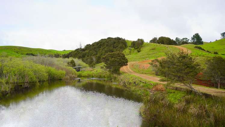591D East Coast Road Kaiaua_25