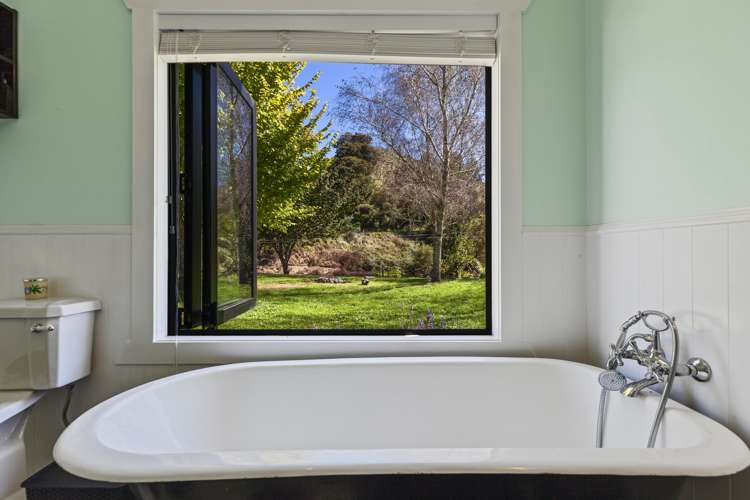 363 Roydon Downs Road Paengaroa_11