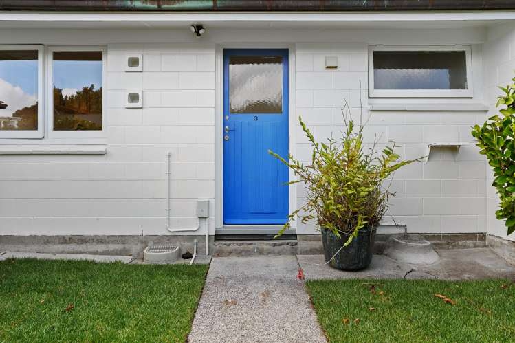 3/60 Wellington Street Freemans Bay_15