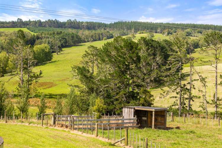 175 Ireland Road Waitoki_7