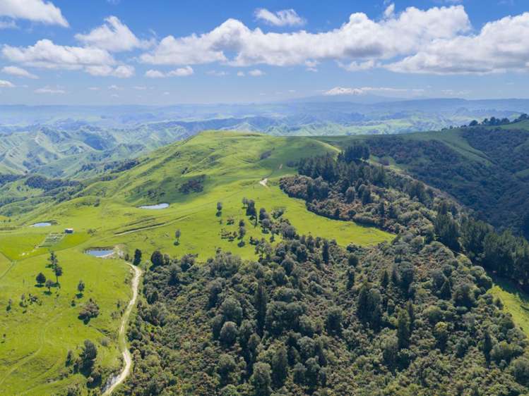 6900 State Highway 1 Mangaweka_11
