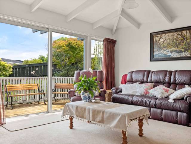 9 Elliffe Place Shiel Hill_2