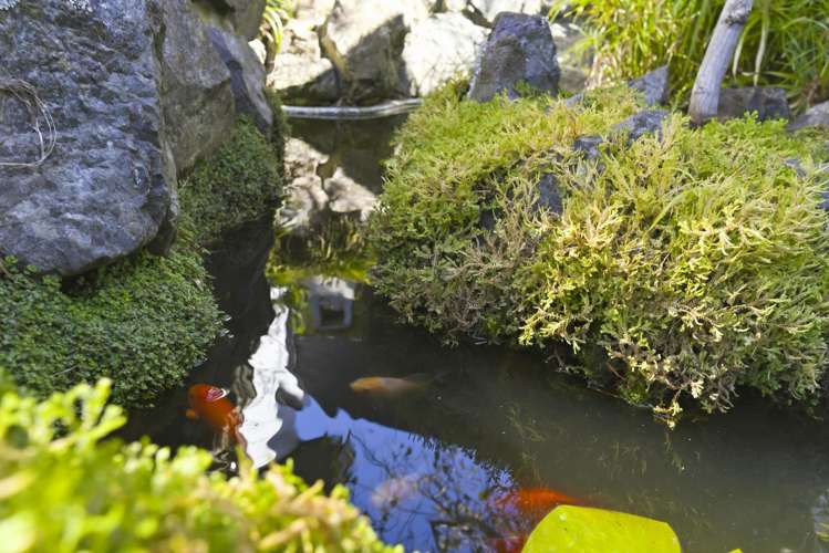 30 Callender Terrace Paraparaumu Beach_32