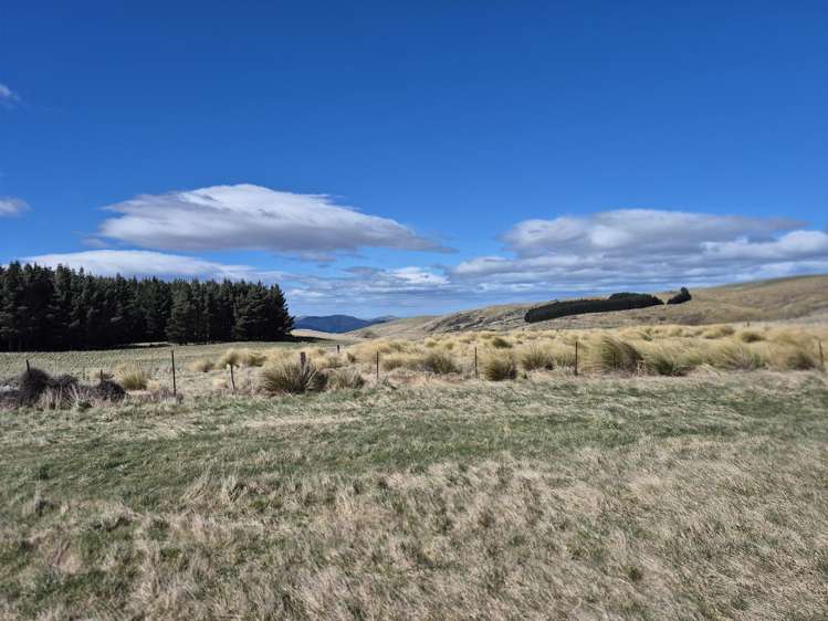 Golden Bar Road Dunback_5