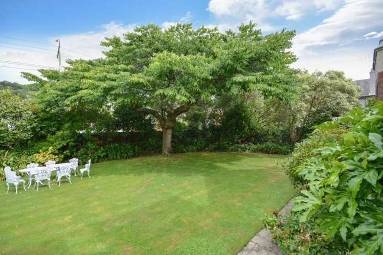 169 Forbury Road Saint Clair_21