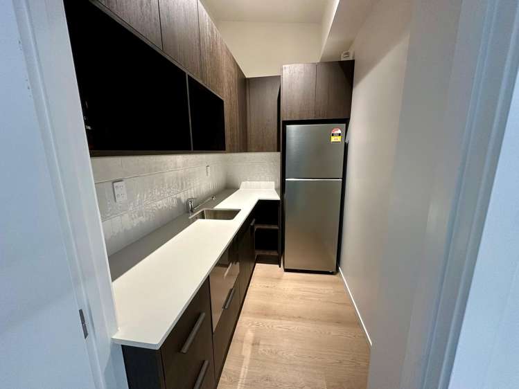3.2/36 Williamson Avenue Grey Lynn_6