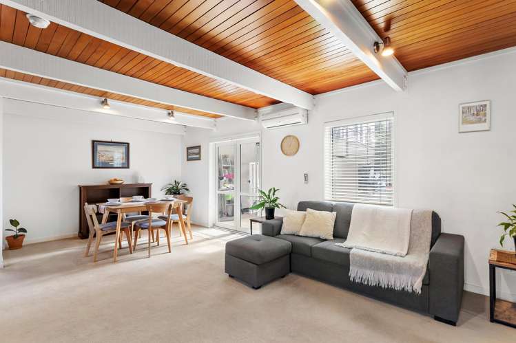 4 Cottleville Terrace Thorndon_6