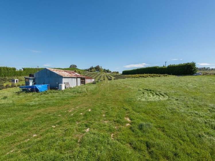 1 Apple Valley Road East Mahana_8